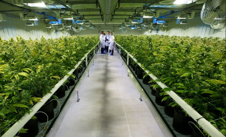 Aurora Cannabis to Raise up to $60M
