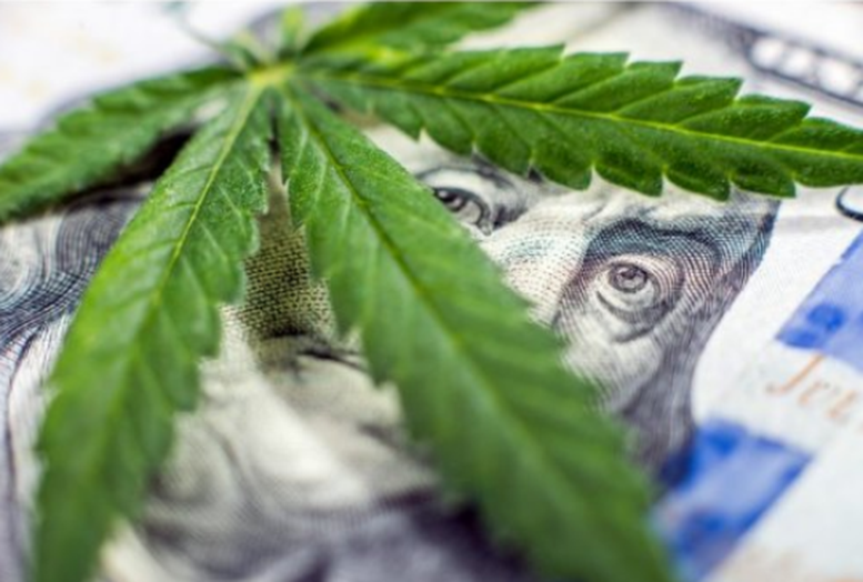 Cultivation Process Underway For mCig’s New Cash Crop