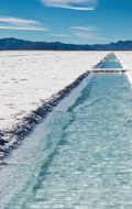 Bearing Lithium