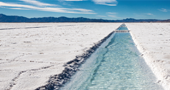 Bearing Lithium