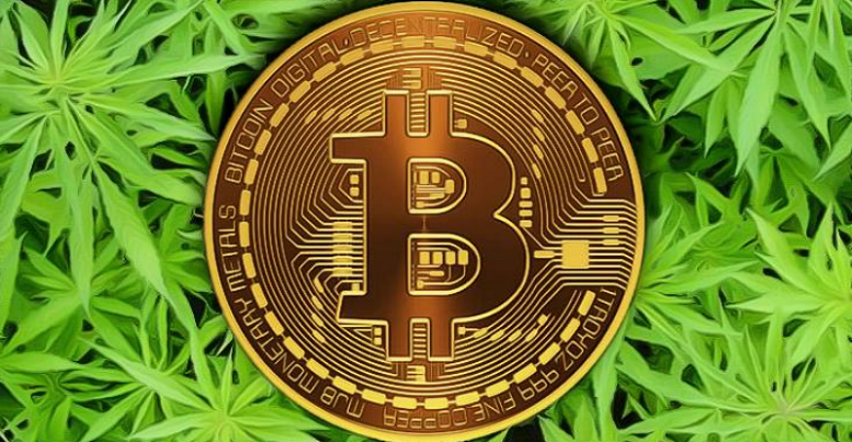 Cannabis Science Moves into the World of Blockchain,...