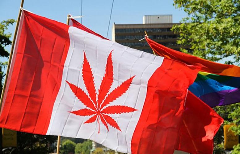 Are the Closed American Stock Markets Helping this Canadian Cannabis Company?