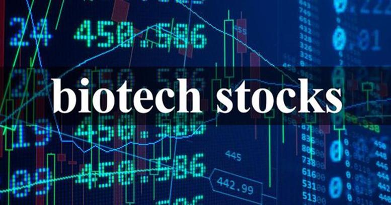Biotechnology Stocks On The Rise, Ampliphi Bioscienc...