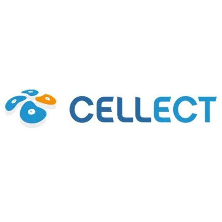 Successful Stem Cell Breakthrough Launches Cellect B...