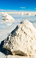 Wealth Minerals