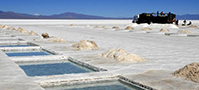 Wealth Minerals