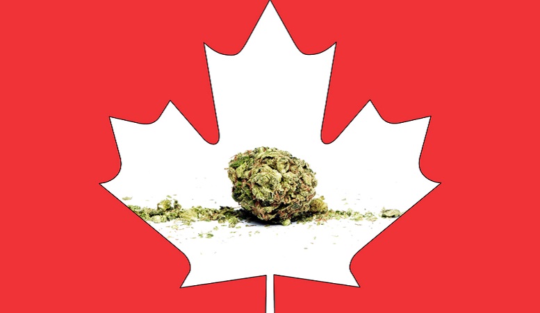 Two Canadian Cannabis Stocks Trading Down More Than 10% Today