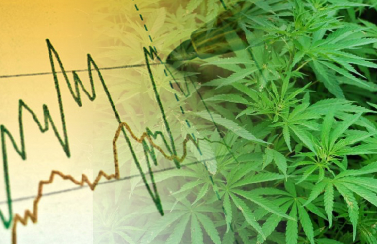 Two Cannabis Companies Shine as Rest of Cannabis Ind...