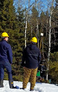Callinex Mines