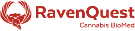Raven Quest logo