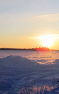 BonTerra Resources