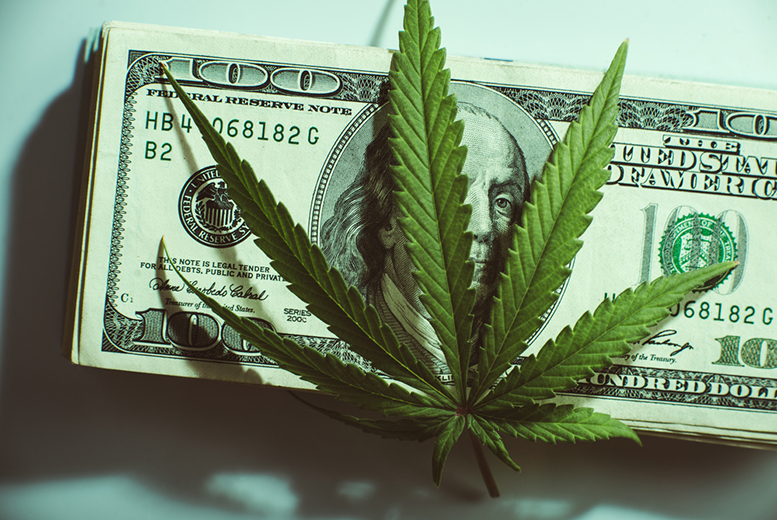 Cannabis Wheaton and Lineage Grow Plunge – New Cannabis News?