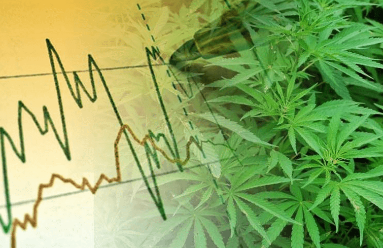 Cannabis Stock News | Golden Leaf Holdings and Cannabis Growth Down