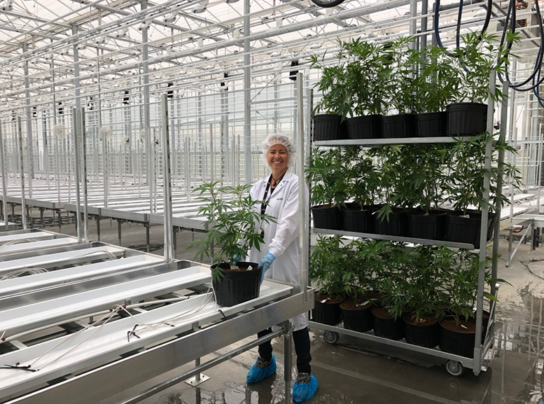 Hydropothecary Corp Greenhouse Expansion Approved, L...