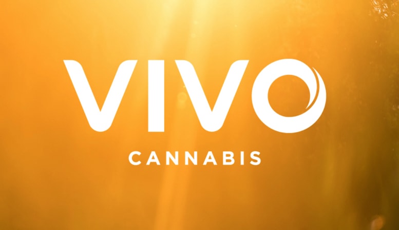 VIVO Cannabis—A Newly Rebranded Cannabis Penny Stock...