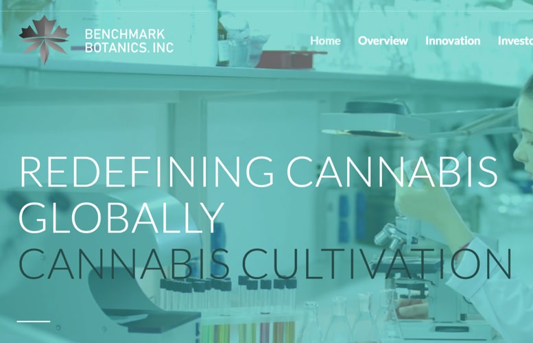 Cannabis Penny Stocks—Let’s Look at Benchmark Botanics