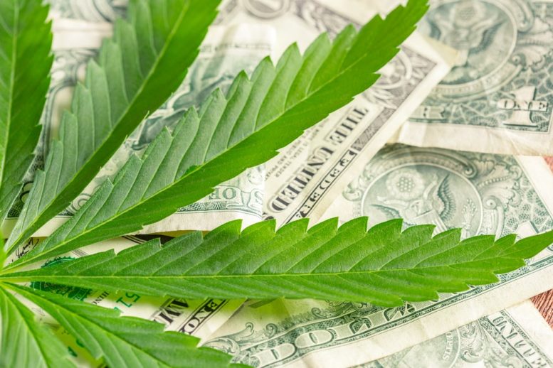 Cannabis Penny Stocks to Watch: Namaste Technologies