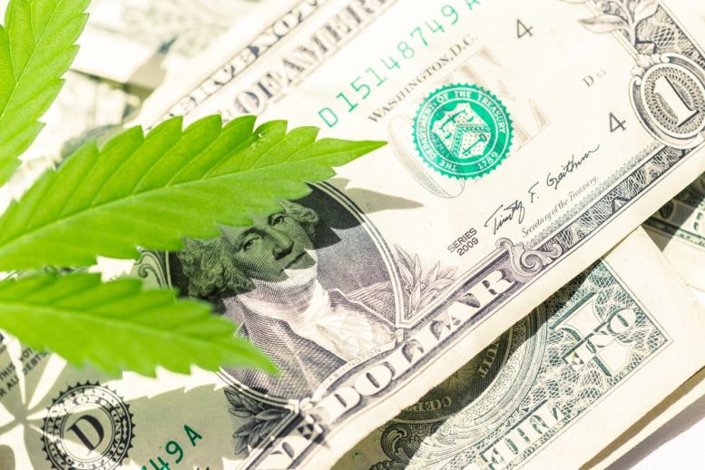 Cannabis Penny Stocks: Could Namaste List on the Nas...