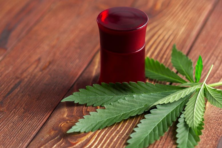 Cannabis Penny Stocks to Watch: Emerald Health Therapeutics