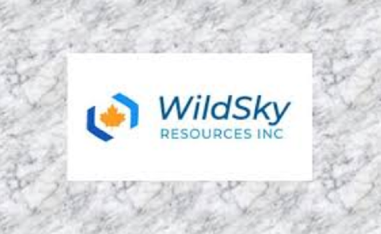 Wildsky Resources Inc. Announces Resignation of Director