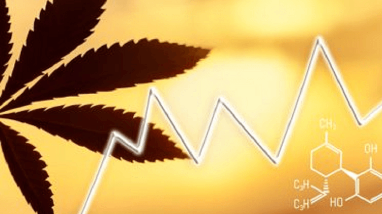 CannaOne Technologies Provides Corporate Update