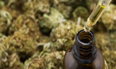 TEAMSTERS RATIFY CONTRACTS WITH CANNABIS GIANT GREEN...