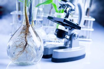 T3D Therapeutics Announces Positive Top-Line Results from the Phase 2 PIONEER Trial of T3D-959 in Mild-To-Moderate Alzheimer’s Disease
