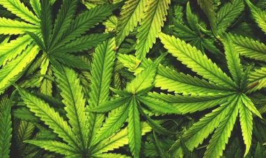 US-Cannabis Market is to grow by USD 46.90 billion b...