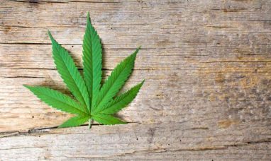 CANNARAY LIMITED ANNOUNCES INTERNATIONAL MERGER WITH...