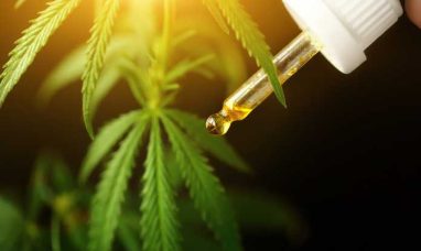 Ric Flair Drip Launches Cannabis Brand in Michigan i...