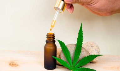 Wild Theory Makes Waves in the Midwest CBD Market wi...