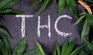 MarijuanaPackaging.com Rebrands to Gamut Packaging, ...