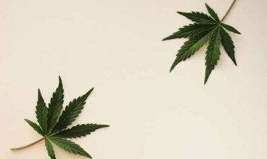 New York’s First Adult-Use Cannabis Retailer, ...