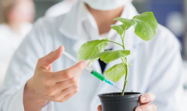 Corn Next Launches CornNext-17: A Groundbreaking Sus...