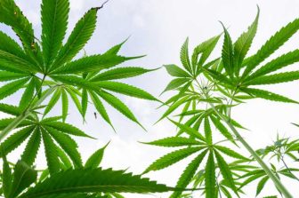 SNDL Announces Listing on the CSE