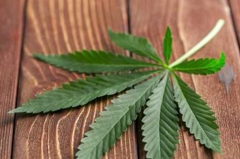 Antidose™ Launches April 20th to Help Cannabis Users Control Their High