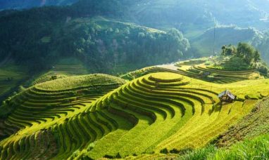 Sands to Participate in the Bernstein Strategic Deci...