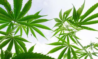 MTL Cannabis Corp. Announces Upgrade to OTCQX