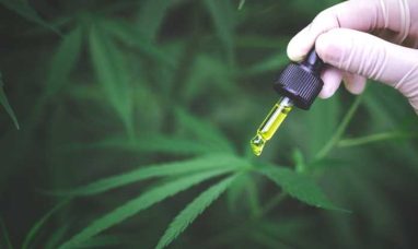 30mg THC Seltzers Hit the Market from Ounce of Hope