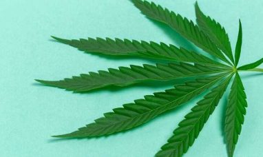Grown Rogue to Report Second Quarter 2025 Financial ...