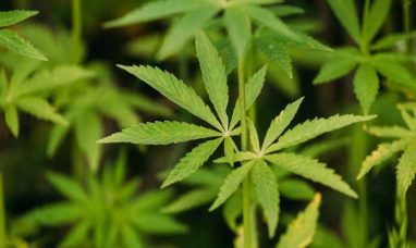 UC Asset (UCASU) Public Offering’s Acquisition...