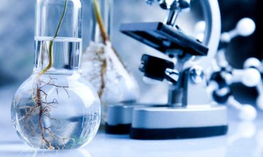 TYK2 Inhibitors Market to Drive Enormous Growth by 2...