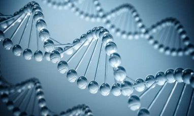 Myosin Therapeutics Awarded $4.5 Million NCI Bridge ...