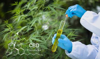 Licensed New York Cannabis Retailers File Lawsuit Ag...
