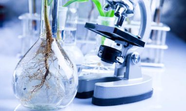 CSL announces rise in full year net profit