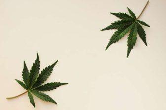 Elevate Holistics Declares: The Era of Pharma Dependence Is Over — Cannabis Is the Next Frontier