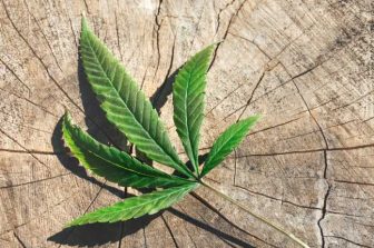Curio Wellness Expands National Footprint with Acquisition of Four Premier Retail Dispensaries in Missouri