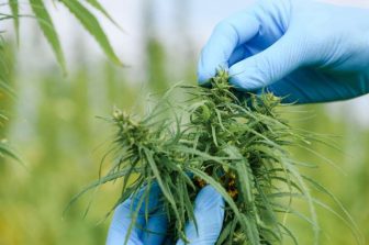 BLAZE Ushers in a New Era of AI-Powered Cannabis Retail Technology