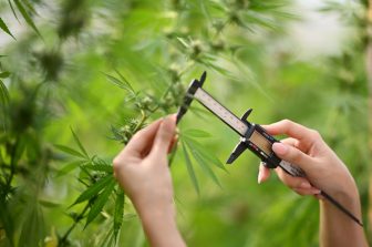 GOLDFLOWER CANNABIS PARTNERS WITH DOGHOUSE FARMS TO BRING AWARD-WINNING STRAINS TO FLORIDA