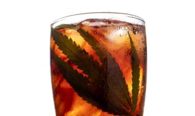 Hello Farms v. Curaleaf Appealed to U.S. Court of Ap...